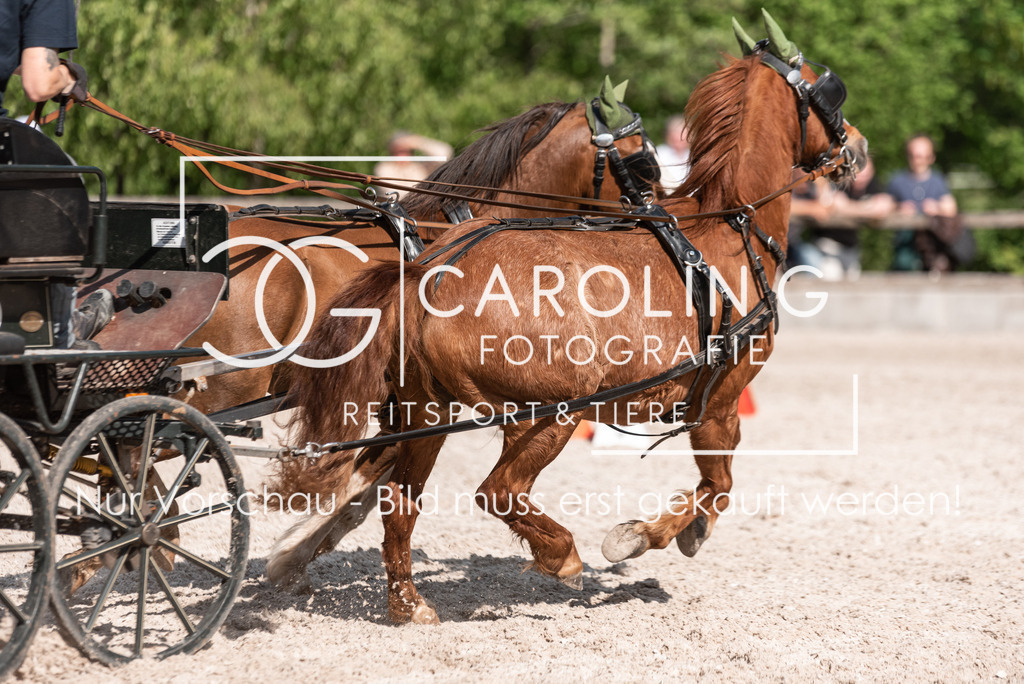 DSC_2232 | Turnierfotografin Carolin Gieschke, Turnierfotografie Carolin G Fotografie, Turnierfotos Kirchheim/Teck, Esslingen, Stuttgart, Bodenseekreis