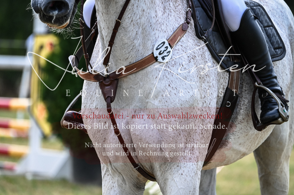 DSC_8331 | Pferde- und Turnierfotografie in Westsachsen. Pferdeportraits, Auftragszeichnungen und intuitive Kunst.
