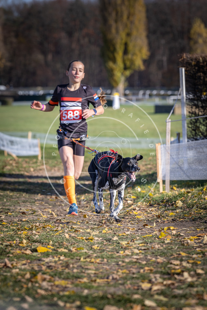 CaniXpix_DV3A9200 | Hundefotografie, Tierfotograf, Pfotenfotografie, Fotoshooting Hund, Hunde Portrait, Hundesport, Hundeportraits, Heideshooting, Hunde, Sportfotograf, Hundefotograf, Turnierhundsport, THS,  - Realisiert mit Pictrs.com