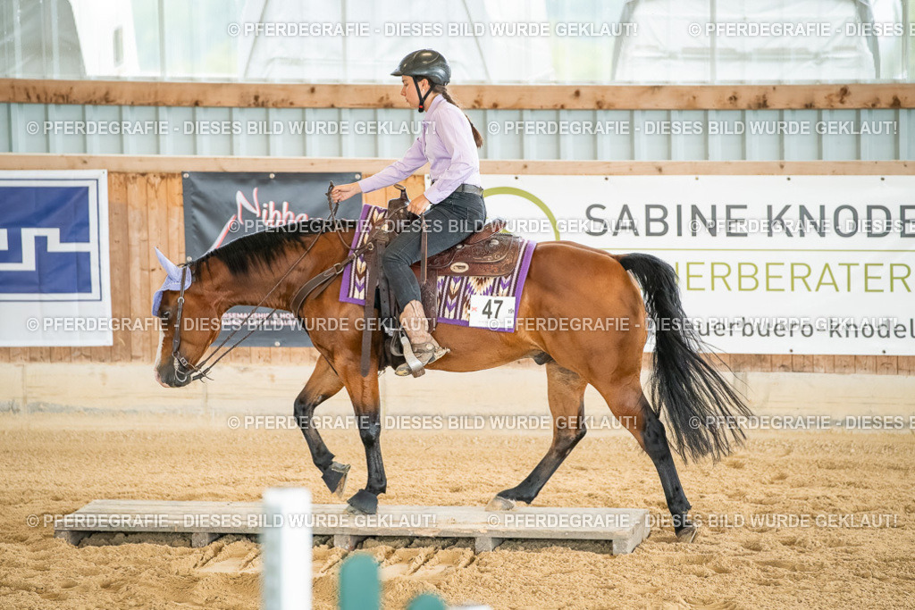 DSC07111 | Pferdegrafie