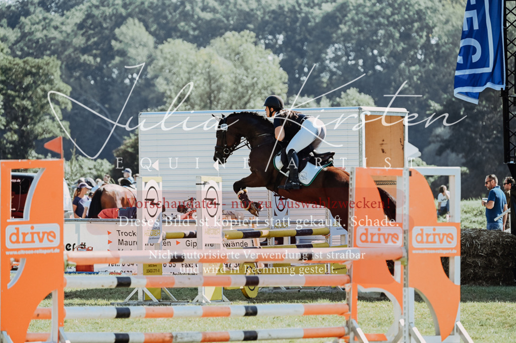 DSC_5715 | Pferde- und Turnierfotografie in Westsachsen. Pferdeportraits, Auftragszeichnungen und intuitive Kunst.