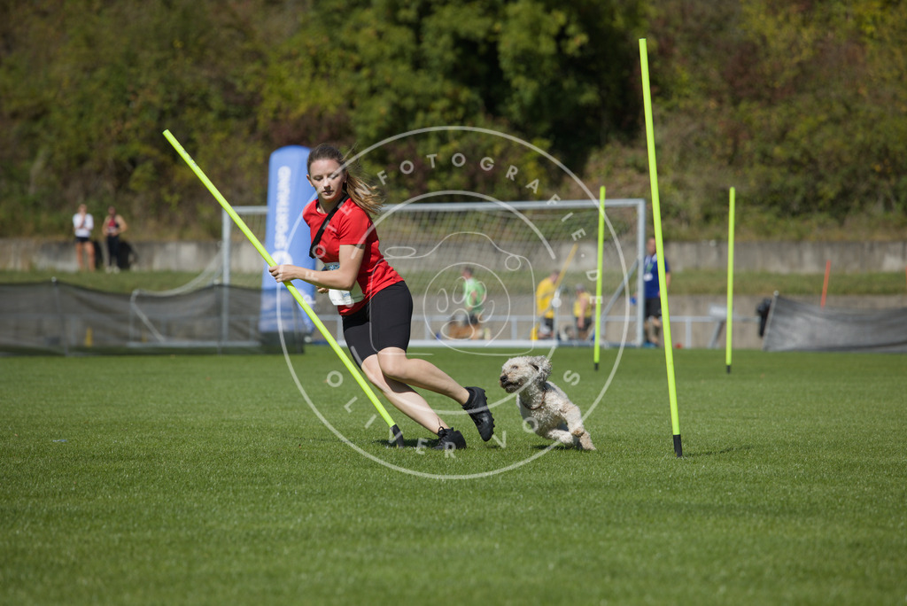 0L8A5880 | Hundefotografie, Tierfotograf, Pfotenfotografie, Fotoshooting Hund, Hunde Portrait, Hundesport, Hundeportraits, Heideshooting, Hunde, Sportfotograf, Hundefotograf, Turnierhundsport, THS,  - Realisiert mit Pictrs.com