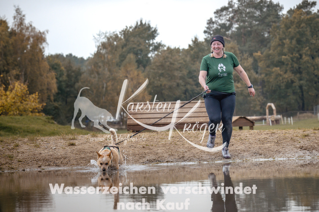 1331_ZZ94160 | kk-dogfotos