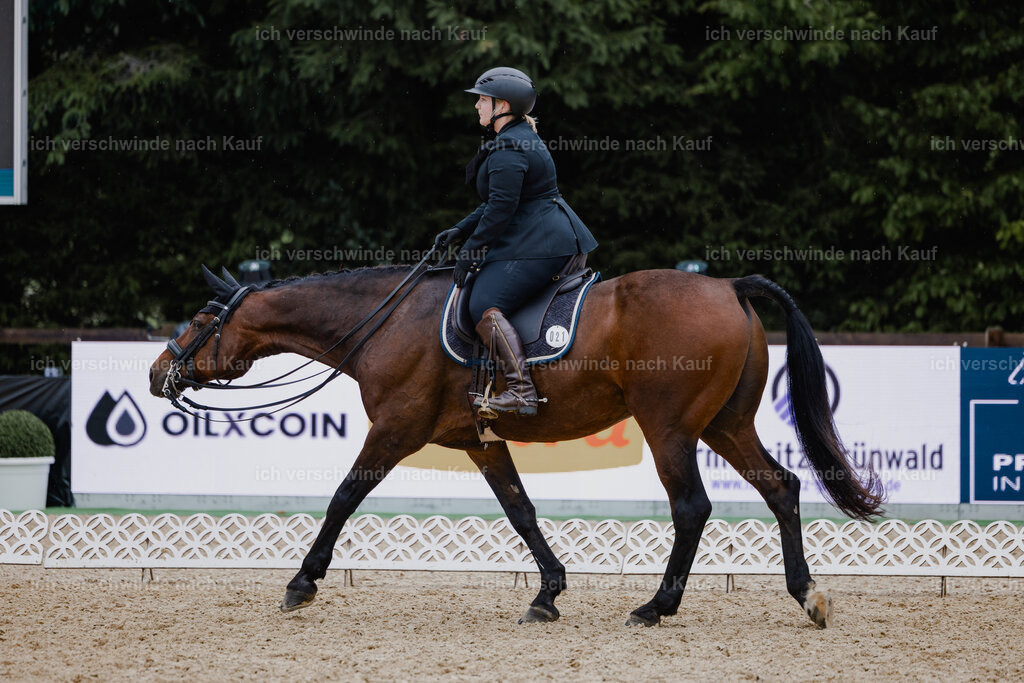 Lara_21_FHC2025-9 | working equitationturnier fotograf videograf stoibphotography marixx film working equitation deutschland reitsport turnierfotografie eventfotografie equestrian events