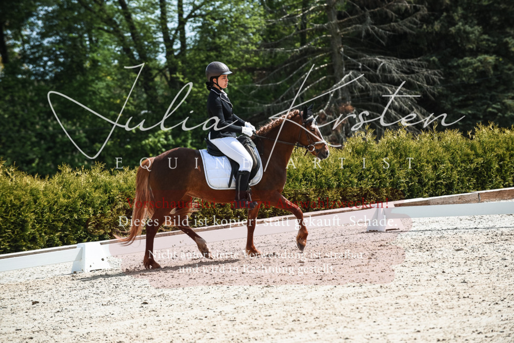 20230518_JK-Röhrsdorf-11-0694 | Pferde- und Turnierfotografie in Westsachsen. Pferdeportraits, Auftragszeichnungen und intuitive Kunst.