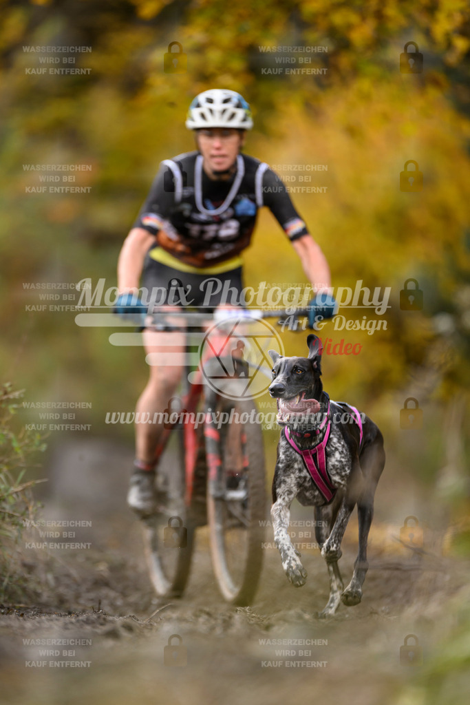 MompixPhotography_ICF_WC_2024_SA_Bike_-256 | PayLife