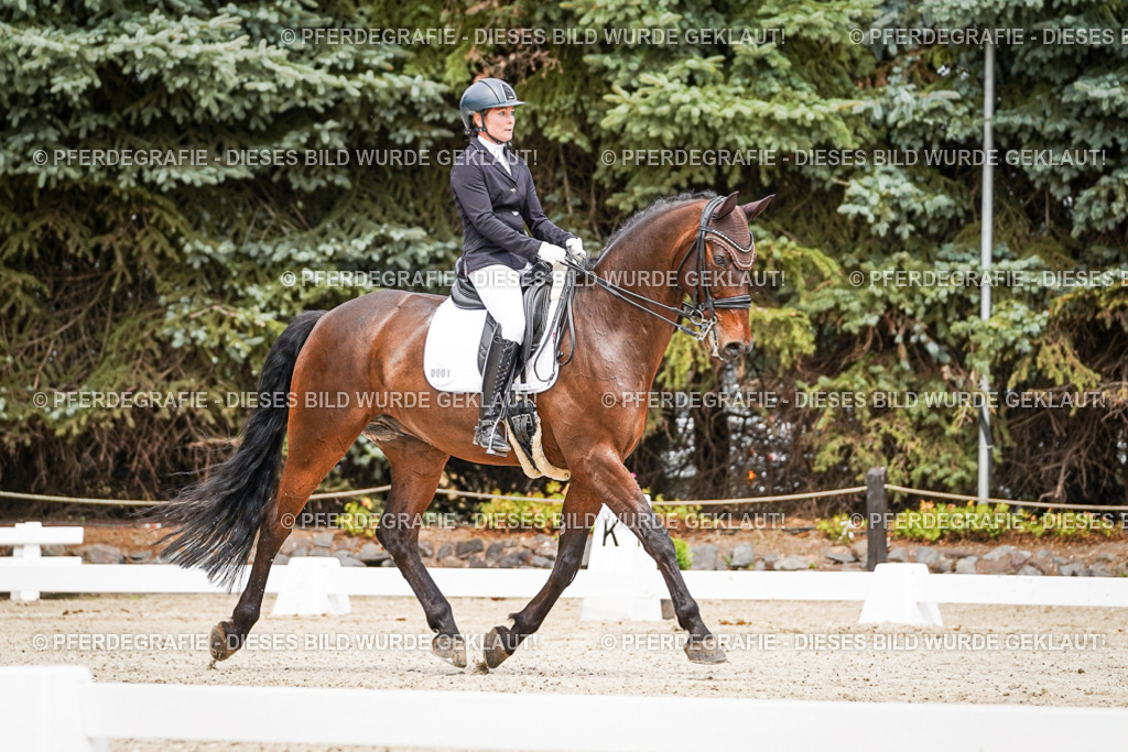 DSC04923 | Pferdegrafie