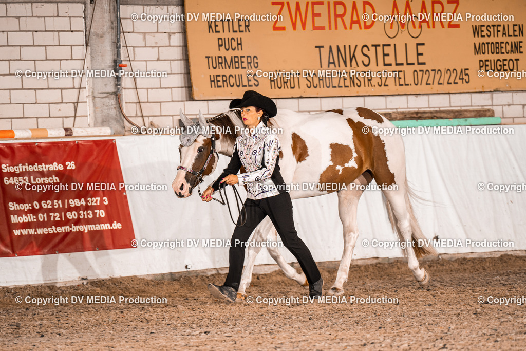 ZH100034 | dv-media-shop - Realisiert mit Pictrs.com