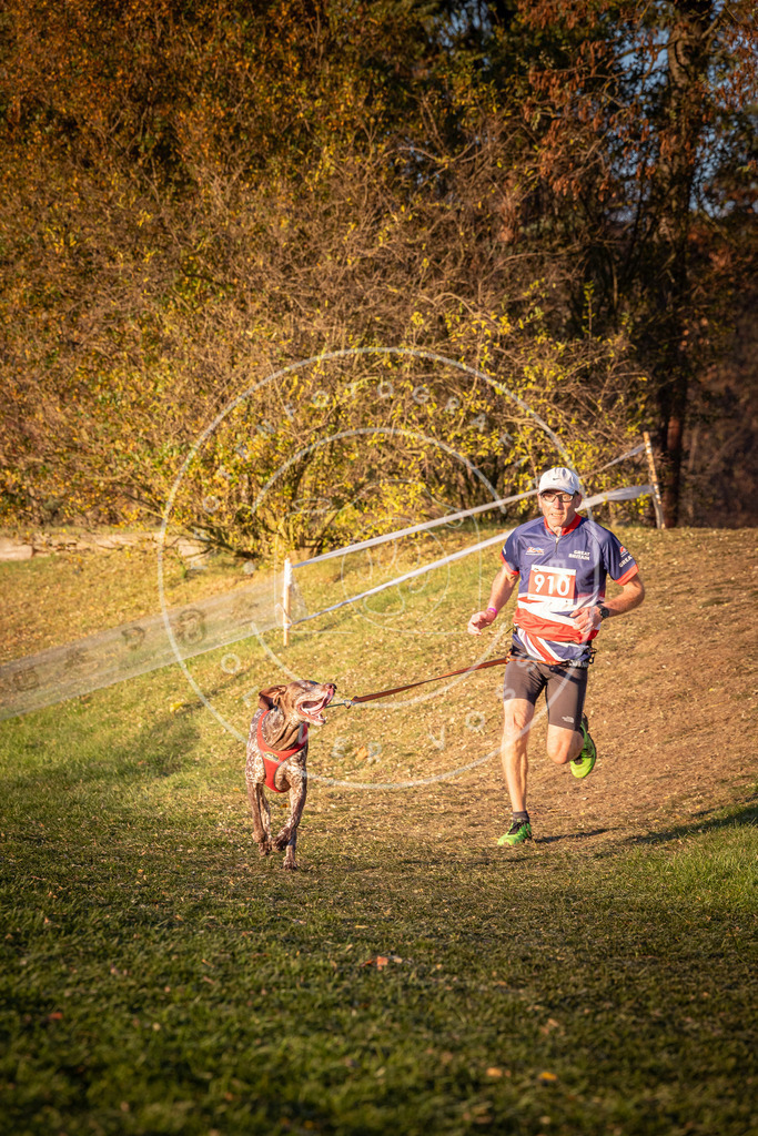 CaniXpix_0L8A1476 | Hundefotografie, Tierfotograf, Pfotenfotografie, Fotoshooting Hund, Hunde Portrait, Hundesport, Hundeportraits, Heideshooting, Hunde, Sportfotograf, Hundefotograf, Turnierhundsport, THS,  - Realisiert mit Pictrs.com