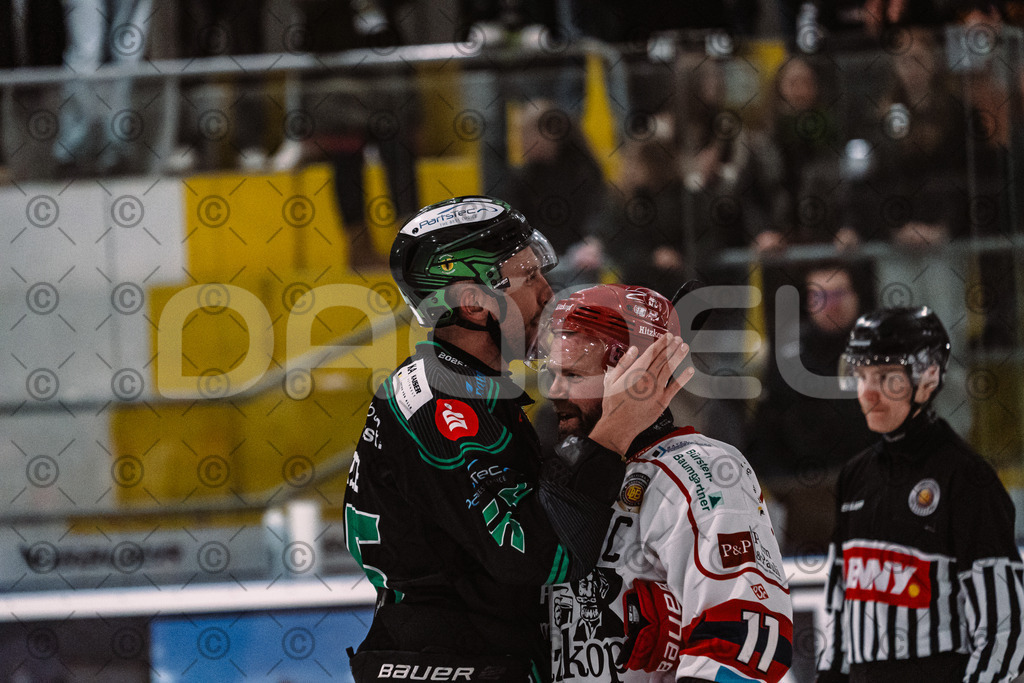 Alligators_vs_Deggendorf_23_01_2026-87 | Höchstadt Alligators Fotogalerie: Eishockey-Action aus Franken. Professionelle Spielfotos, Portraits & Stadionbilder zum Download. Jetzt entdecken! - Realisiert mit Pictrs.com