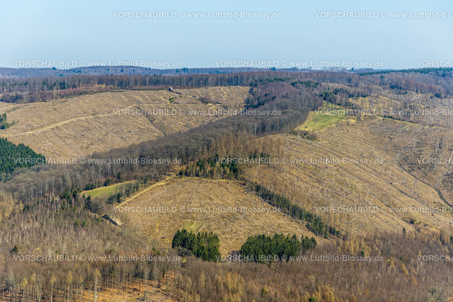 Arnsberg220302288 | Luftbild, Waldgebiet am Kuhnsberg mit Waldschäden in Glösingen, Arnsberg, Sauerland, Nordrhein-Westfalen, Deutschland