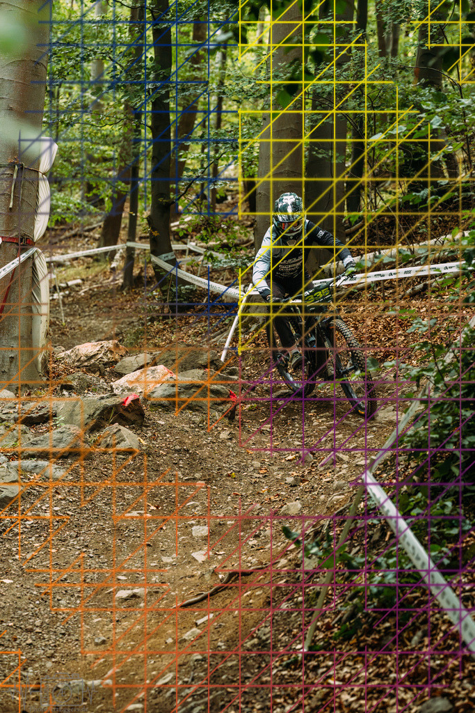 PAE-0837 | Einzigartige Fotokunst für dein Zuhause: Entdecke hochwertige Wandbilder, edle Prints und emotionale Motive von Wildlife, Natur und Landschaften - Realisiert mit Pictrs.com