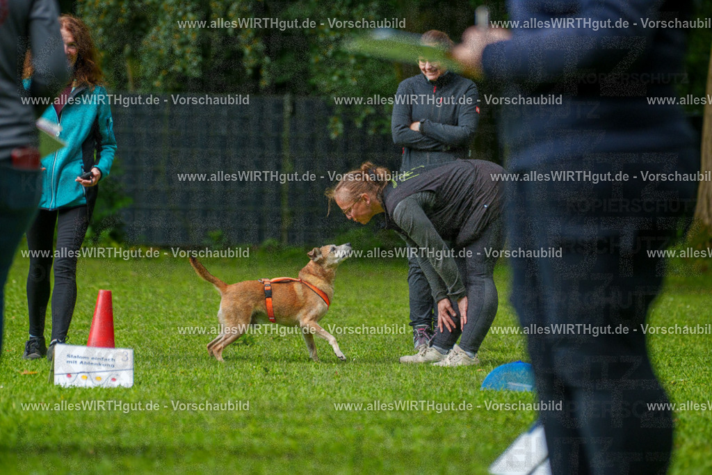 @allesWIRTHgut_Tierfotografie - www.allesWIRTHgut.de - 7R502087 | Professionelle Tierfotografie in Mönchengladbach von Daniel Wirth (allesWIRTHgut). Liebevolle & natürliche Bilder von Hunden & Katzen für unvergessliche Erinnerungen.