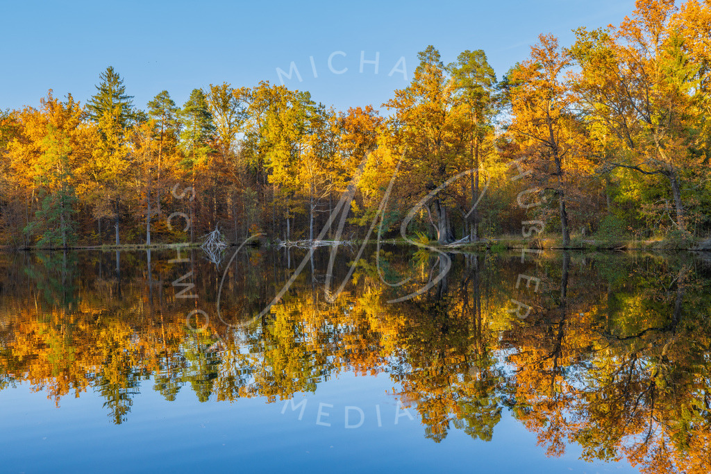 2025-10-30 Herbst Baerenseen Stuttgart 067 | Schwotte Media - Realisiert mit Pictrs.com