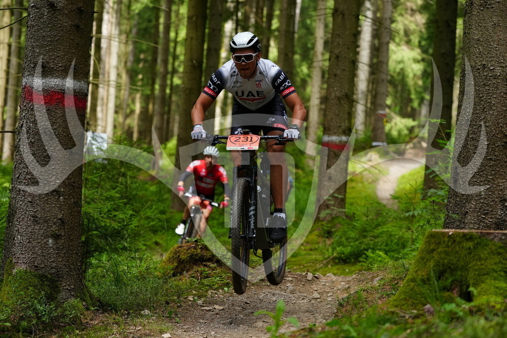 FC100463 | Fotogalerie der Treibjagd im Dunkelwald - Dein MTB Etappenrennen im Erzgebirge - Realisiert mit Pictrs.com