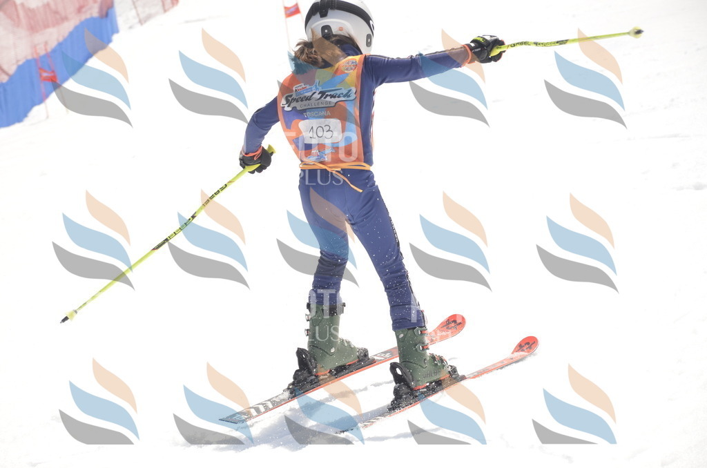 _ELE9396 | holidayphoto