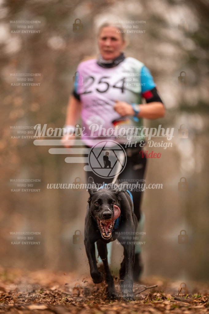 AKM_ST_2023_SAM_Run-158 | PayLife