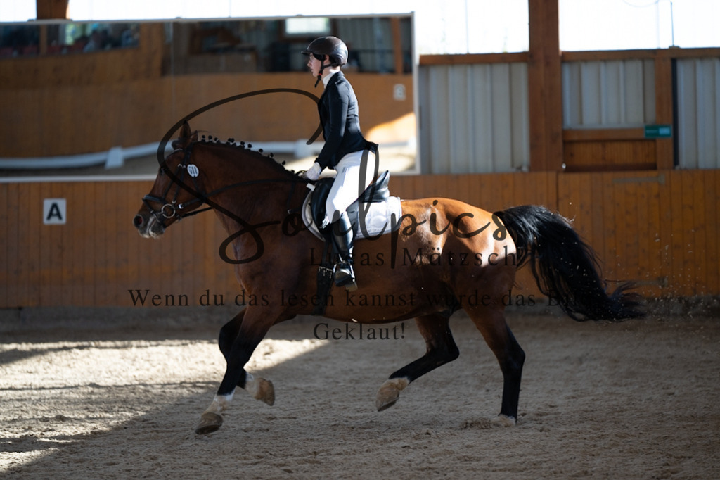 A7V01764 | Turnier/Reitfotograf