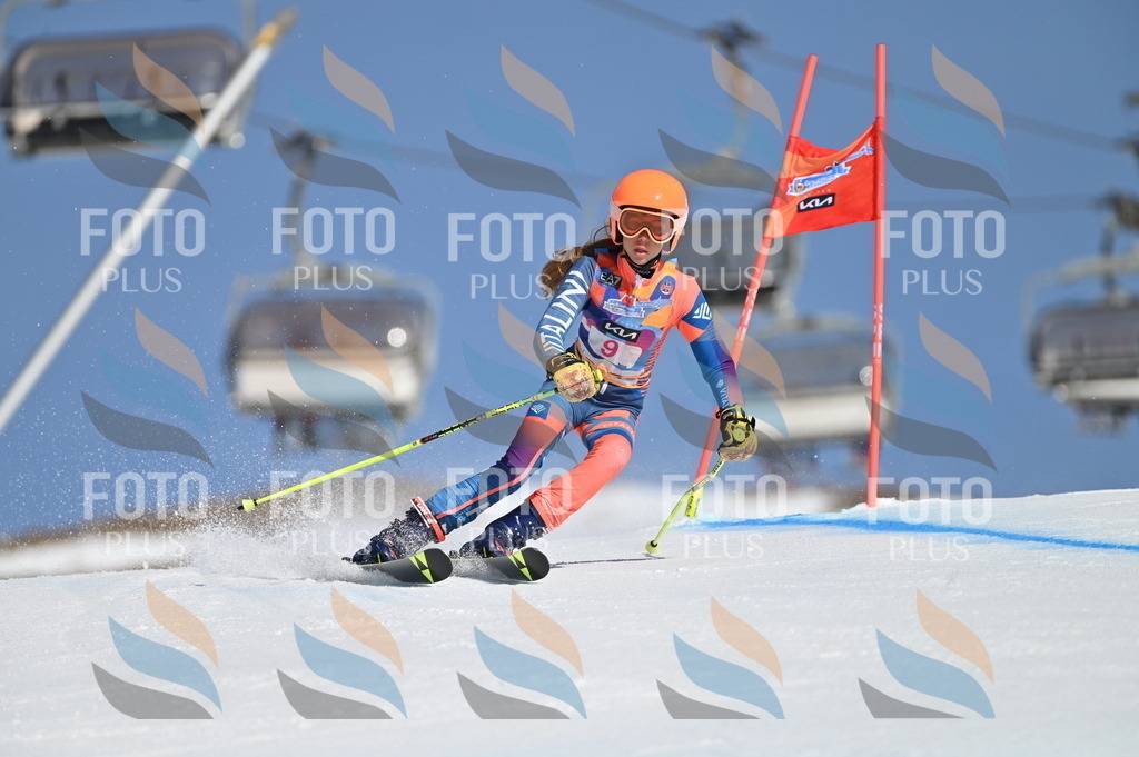 BGV_7726 | holidayphoto