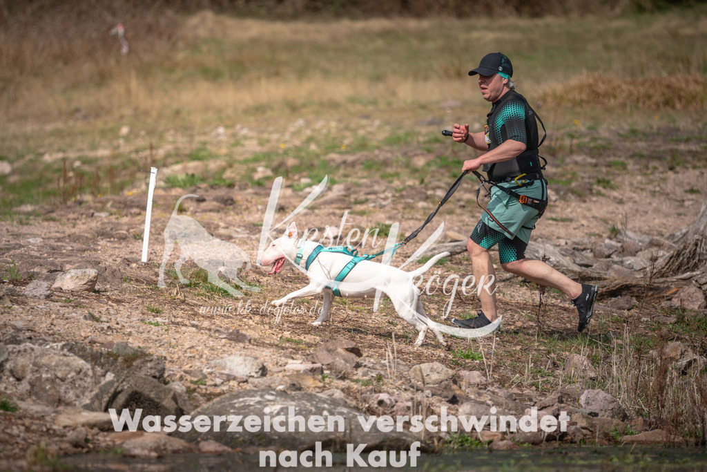 1101DZ6_2553 | kk-dogfotos