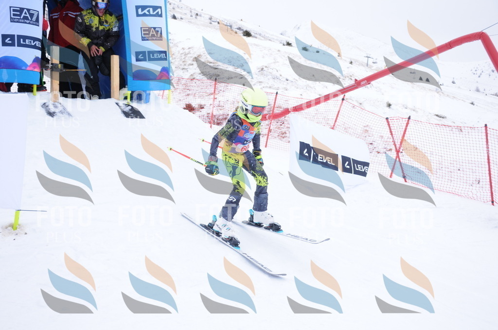 DSC_7997 | holidayphoto