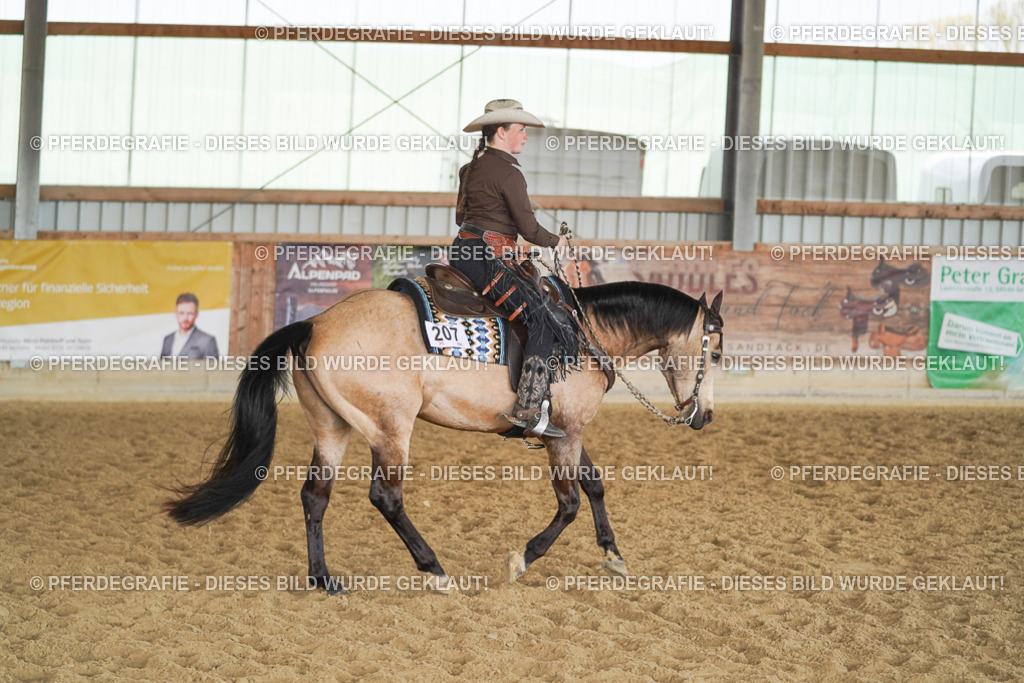 DSC00174 | Pferdegrafie