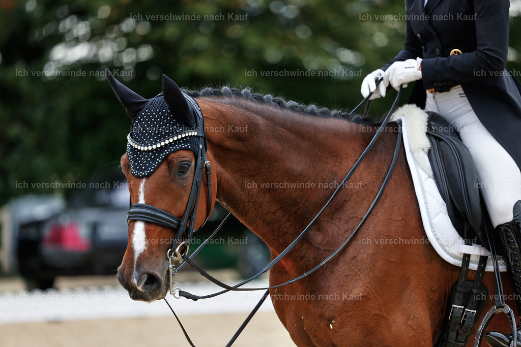 11-048-Dressur S___-StoibPH-1422 | working equitationturnier fotograf videograf stoibphotography marixx film working equitation deutschland reitsport turnierfotografie eventfotografie equestrian events