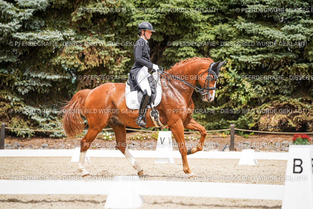 DSC05802 | Pferdegrafie