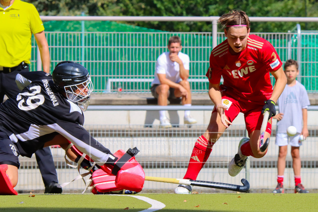 HERREN BUNDESLIGA Rot-Wei_ K_ln - Crefelder HTC 07.09.24 K_ln-229 | lanaschraderfotografie - Realisiert mit Pictrs.com