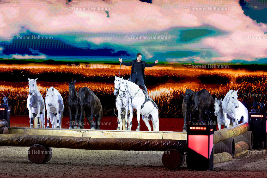 TH_Hop Top Show_27443 | EQUITANA 2025 am 07.03.25 in Essen