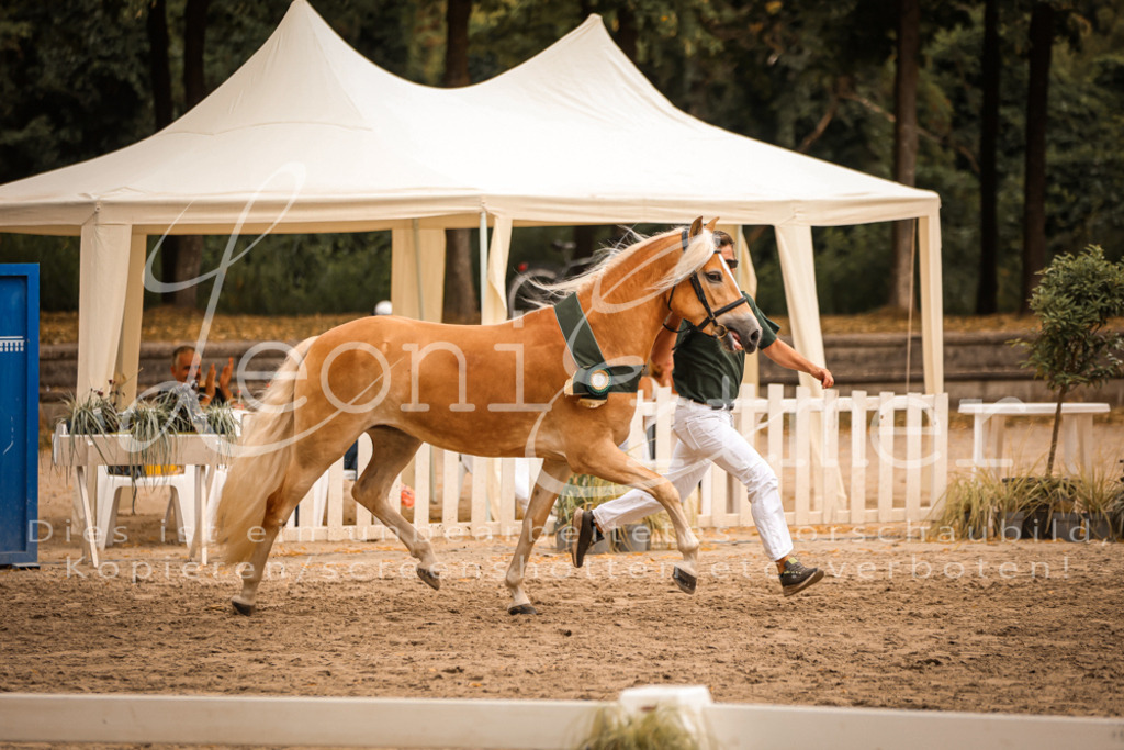 06.So00166 | Leoni Ertmer Photography - Realisiert mit Pictrs.com