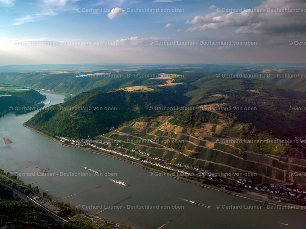 24S03256 | Rhein bei Lorchhausen