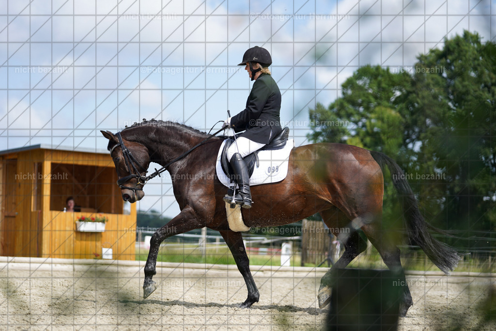 20230826-FAH05507 | Forstinning, 2023, Dressurturnier, Turniersportbilder, Turnierfotografen Bayern, Fotoagentur Herrmann, Reitsportfotografie, Turnierbilder