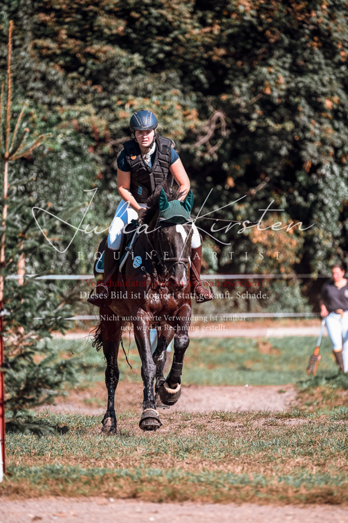 DSC_0913 | Pferde- und Turnierfotografie in Westsachsen. Pferdeportraits, Auftragszeichnungen und intuitive Kunst.