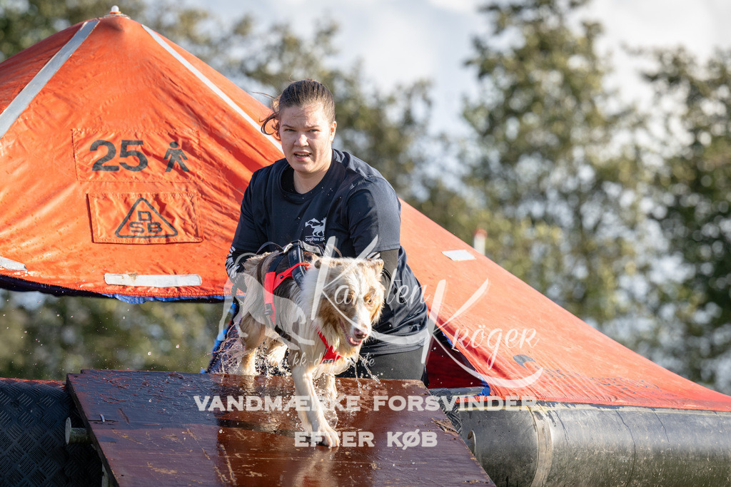 1459-90416 | kk-dogfotos