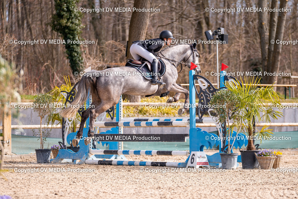 Kranichstein Tag 1-497 | dv-media-shop - Realisiert mit Pictrs.com