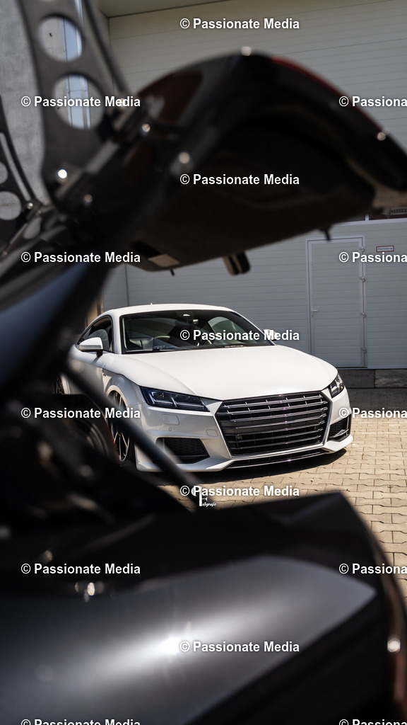 DSC05104 | Passionate Media, dein Fotograf aus Brandenburg, Märkisch Oderland, im Bereich Motorsport, Autos und Motorräder sowie Events und auch Hunde. Shootings oder auch Eventbegleitungen können bei mir gebucht we