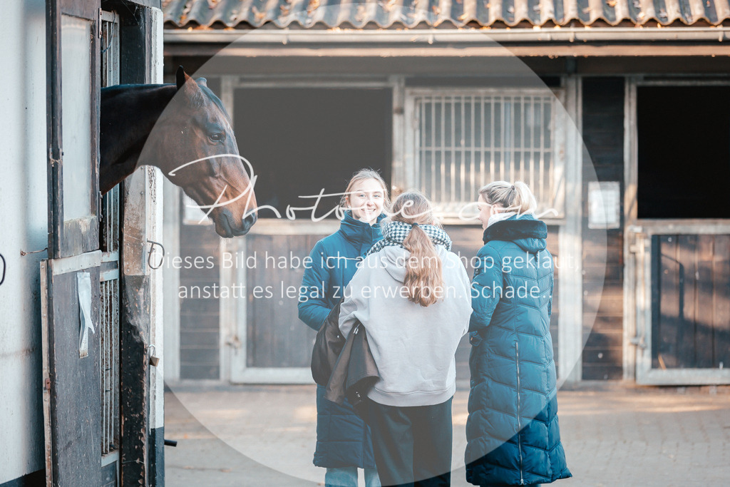 3I6A1542 | Stimmungsvolle Portraits und Reitsportfotografie im Ruhrgebiet und im Münsterland.

Pferdefotografie, Hundefotografie, Tierfotografie, Reportagen, Portraits von Tier und Mensch, Turnierfotografie in Bochum, Recklinghausen, Marl, Haltern am See, Dülmen.. - Realisiert mit Pictrs.com