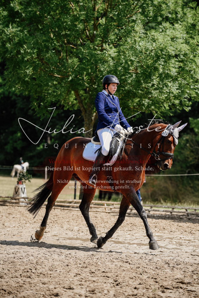 DSC_1200 | Pferde- und Turnierfotografie in Westsachsen. Pferdeportraits, Auftragszeichnungen und intuitive Kunst.