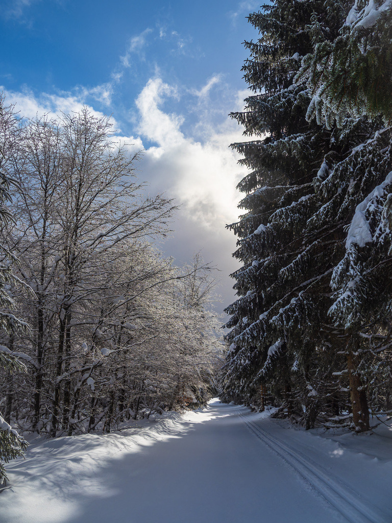 Landschaft im Winter im Thüringer Wald in der Nähe von Schmiedefeld am Rennsteig | Landschaft im Winter im Thüringer Wald in der Nähe von Schmiedefeld am Rennsteig.