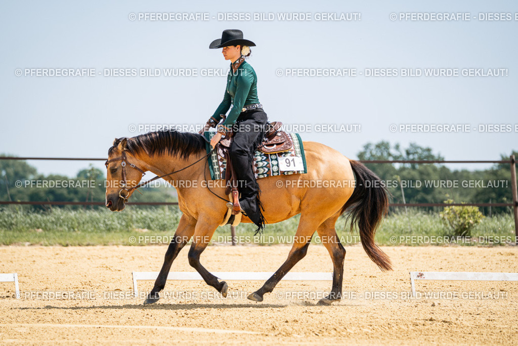 DSC01285 | Pferdegrafie