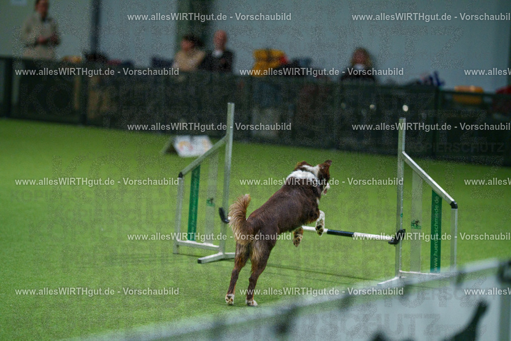 7R505054 | Professionelle Tierfotografie in Mönchengladbach von Daniel Wirth (allesWIRTHgut). Liebevolle & natürliche Bilder von Hunden & Katzen für unvergessliche Erinnerungen.