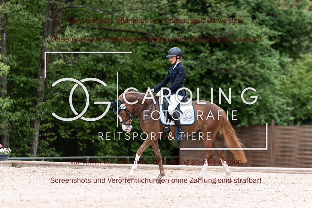 DSC_6716 | Turnierfotografin Carolin Gieschke,Reitsport Turnierfotografie Carolin G Fotografie | Turnierfotos aus Kirchheim/Teck, Esslingen, Stuttgart und dem Bodenseekreis
