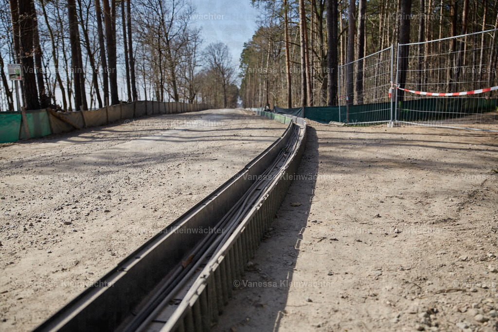 250412_TeslaWaldspaziergang_00038 | Vanessa Kleinwächter - Realisiert mit Pictrs.com