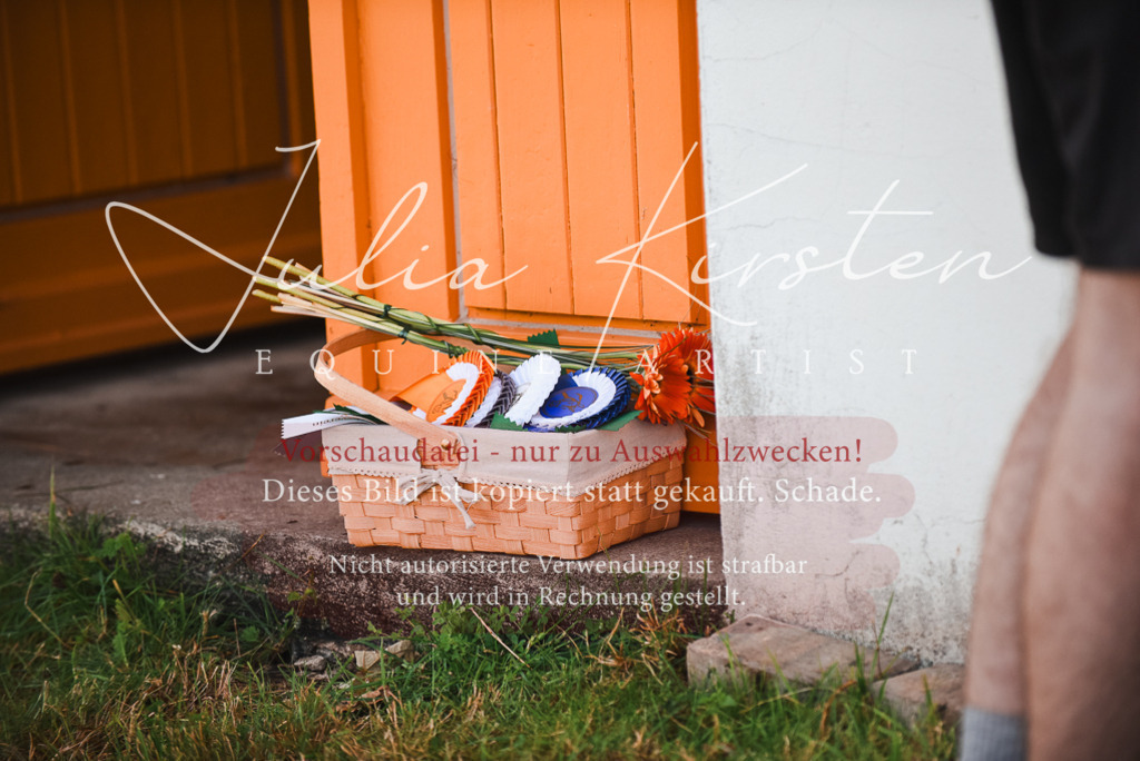 DSC_2596 | Pferde- und Turnierfotografie in Westsachsen. Pferdeportraits, Auftragszeichnungen und intuitive Kunst.