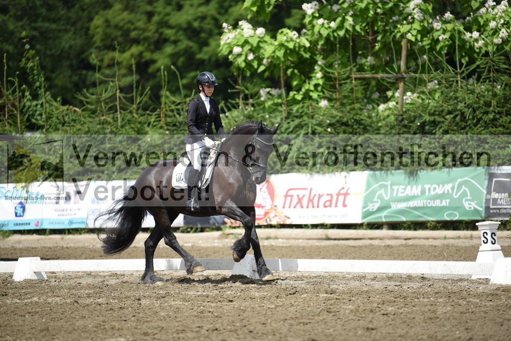 DSC_0803 | equestrian-live-com