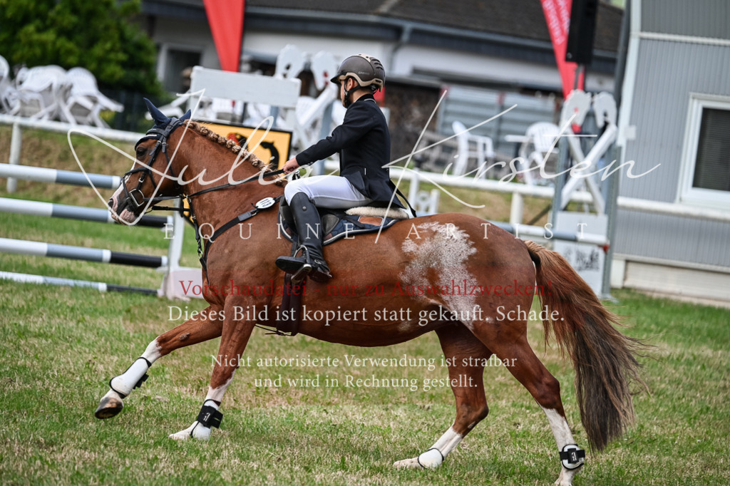 DSC_8647 | Pferde- und Turnierfotografie in Westsachsen. Pferdeportraits, Auftragszeichnungen und intuitive Kunst.