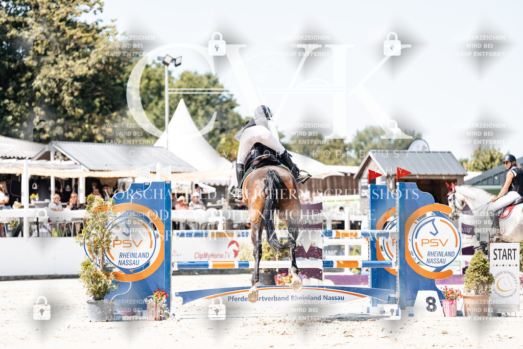 CK909657 | Turnierfotografie Pferdefotografie Trier Rheinland-Pfalz Pferdesport Reitsport Tierfotografie Sportfotografie Pferdevideo Pferdevideografie Equestrianvideography equestrianphotography  - Realisiert mit Pictrs.com