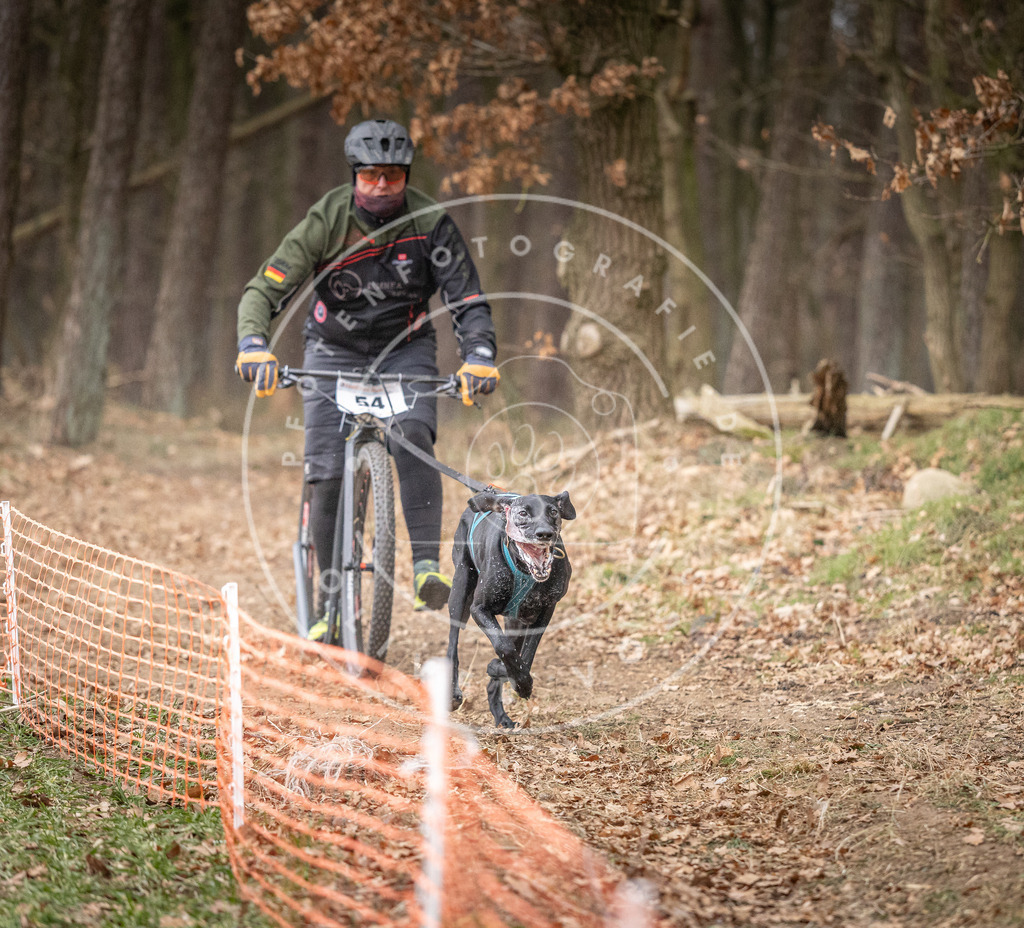 Pfotenfotografie_DV3A1490 | Hundefotografie, Tierfotograf, Pfotenfotografie, Fotoshooting Hund, Hunde Portrait, Hundesport, Hundeportraits, Heideshooting, Hunde, Sportfotograf, Hundefotograf, Turnierhundsport, THS,  - Realisiert mit Pictrs.com