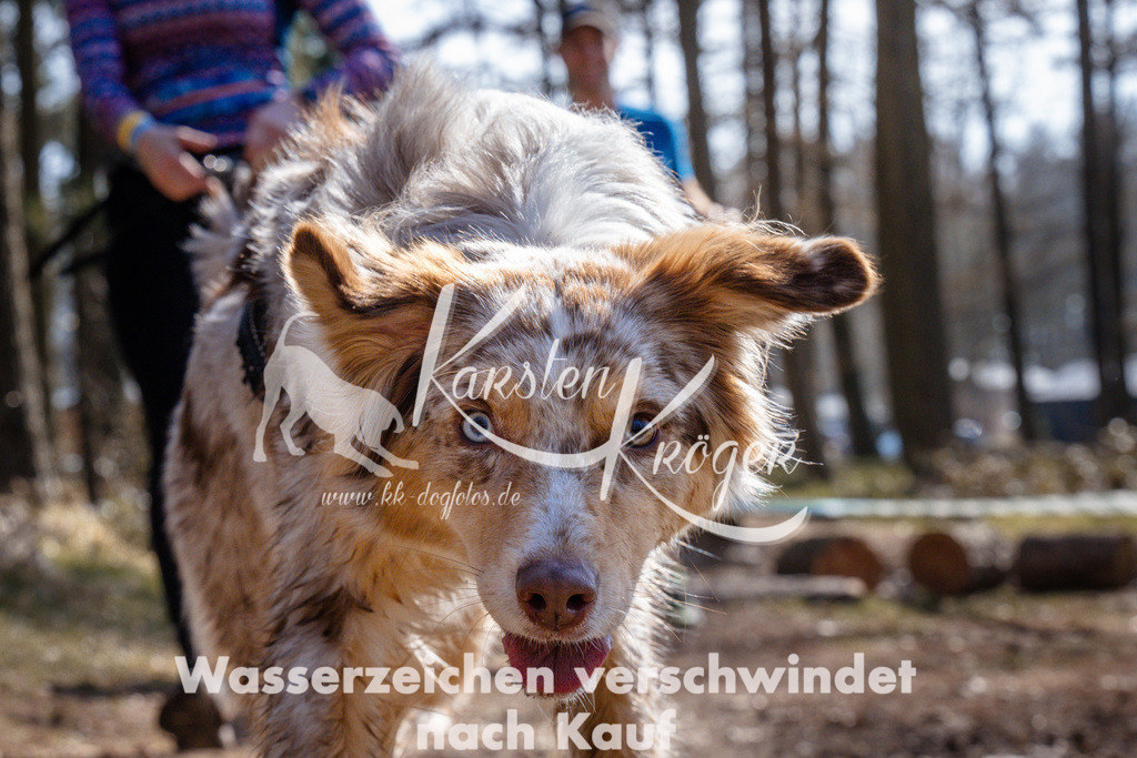 1325_ZZ95143 | kk-dogfotos